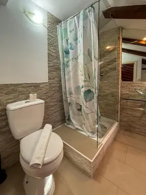 Un baño de Comodo atico en Tirso de Molina Madrid