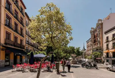 El barrio de los alrededores o un barrio cerca de este apartamento