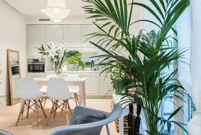 Plano de Central Madrid Apartment 60 m² + AC
