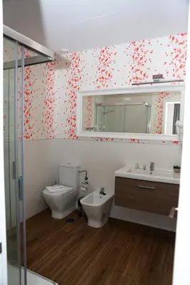 Un baño de New Point Opera