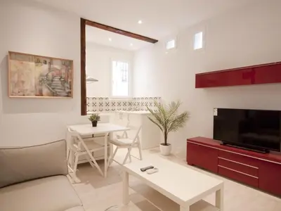 Una televisión o centro de entretenimiento en Apartamento con encanto en ópera