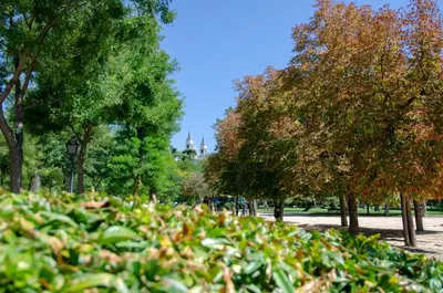 Jardín al aire libre en We Madrid Casa Duque