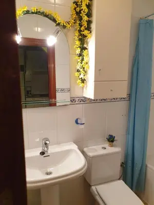 Un baño de Apartamentos Dana Madrid