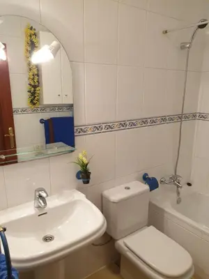 Un baño de Apartamentos Dana Madrid