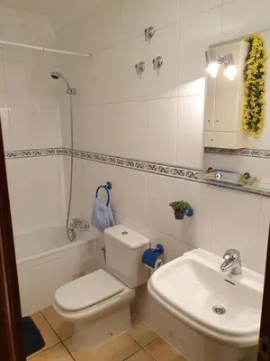 Un baño de Apartamentos Dana Madrid