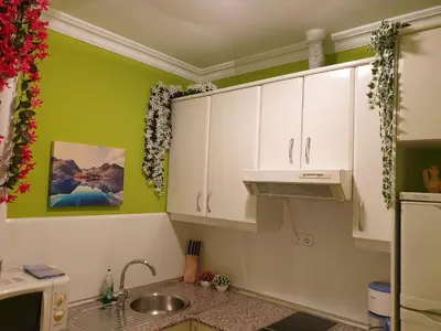 Una cocina o zona de cocina en Apartamentos Dana Madrid