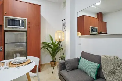 Una cocina o zona de cocina en LEEWAYS APARTMENT in GRAN VÍA XIV