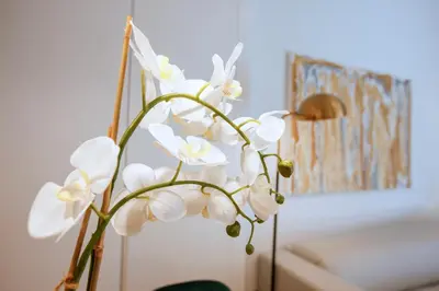 Cama o camas de una habitación en Tirso Suite