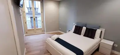 Cama o camas de una habitación en Apartamentos Sol Madrid