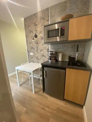 Una cocina o zona de cocina en Apartamentos Sol Madrid