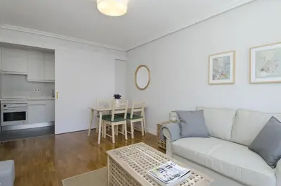 Una cocina o zona de cocina en Apartamento Salamanca VI en Madrid