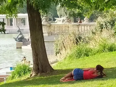 Vista de un río cerca de este apartamento