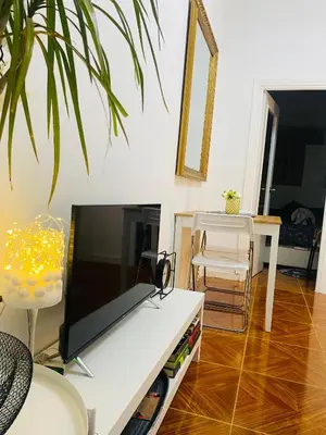Una televisión o centro de entretenimiento en Precioso Apartamento Madrid Centro