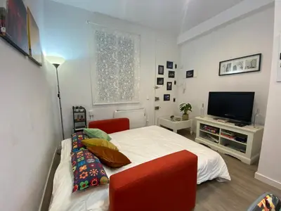 Una televisión o centro de entretenimiento en Piso Espectacular en el Centro de Madrid