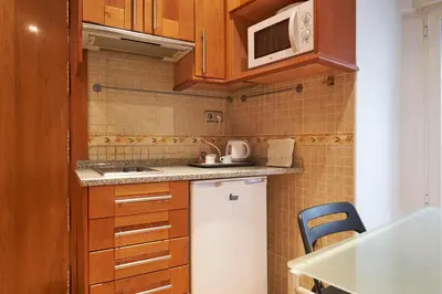 Una cocina o zona de cocina en Apartamentos Madrid Atocha