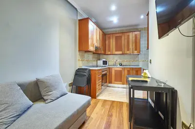 Una cocina o zona de cocina en Apartamentos Madrid Atocha