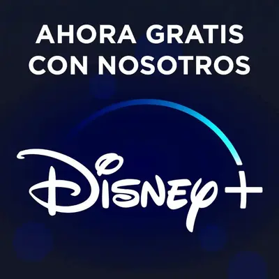Certificado, premio, señal o documento que está expuesto en Don Quijote APARTAMENTS TPH Madrid