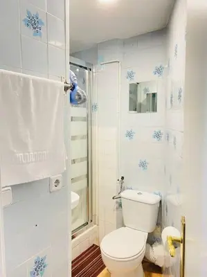 Un baño de Apartamento en Gran Vía de Madrid 45 4