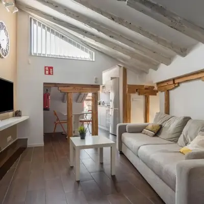 Cozy 1Bedroom apartment next to Plaza Mayor