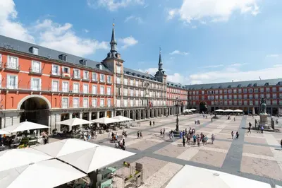 Clientes alojados en MAYOR SQUARE by MONARO*****