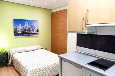 Una cocina o zona de cocina en Suitur Apartment Hita II Centro Madrid