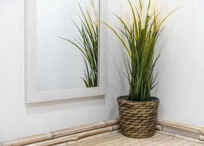 Plano de Cozy in Downtown - 2Bedrooms 1Bathroom - Malasaña