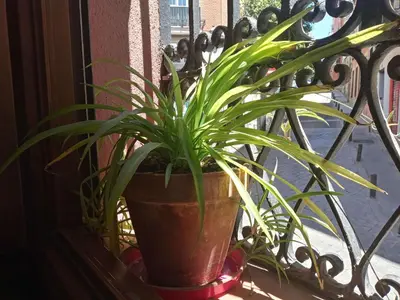 Plano de Apartamento Lavapies al lado del Rastro