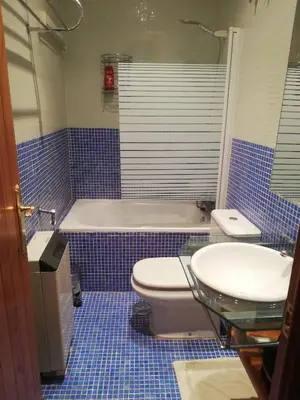 Un baño de Madrid Centro