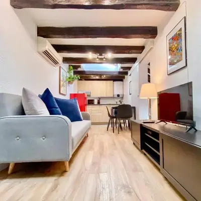 Malasaña Attic - In the city center
