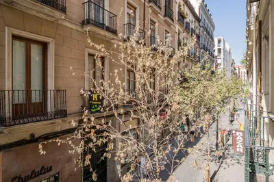 El barrio de los alrededores o un barrio cerca de este apartamento
