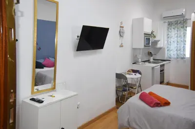 Una televisión o centro de entretenimiento en LOFT PUERTA DE SOL