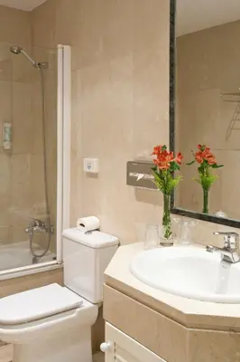 Un baño de Suites Barrio de Salamanca