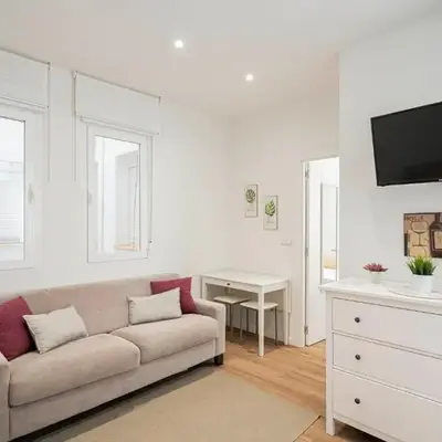 Quiet and cosy flat in N. Salamanca