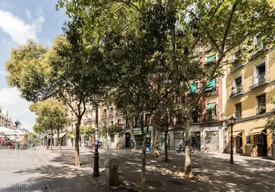 El barrio de los alrededores o un barrio cerca de este apartamento