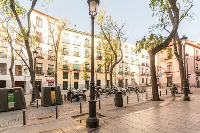 El barrio de los alrededores o un barrio cerca de este apartamento