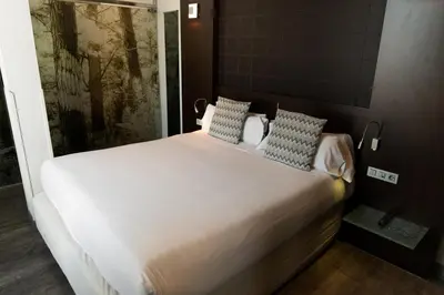 Cama o camas de una habitación en Petit Palace President Castellana