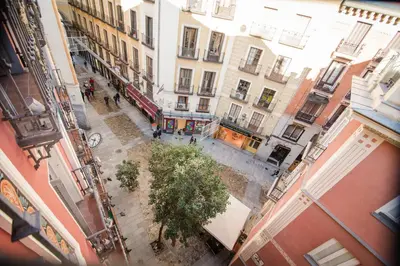 El barrio de los alrededores o un barrio cerca de este hotel