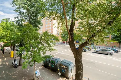 El barrio de los alrededores o un barrio cerca de este apartamento