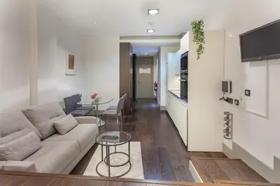 Una televisión o centro de entretenimiento en Apartamento Cibeles Studio en Madrid