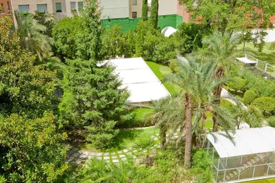 Jardín al aire libre en VP Madroño