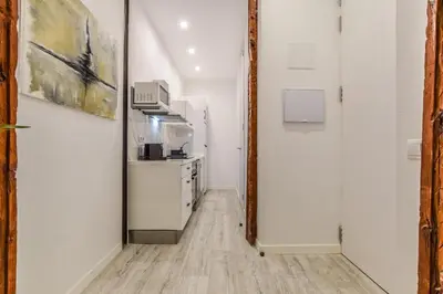 Una cocina o zona de cocina en MyHouseSpain - Luxury flat next to Gran Vía