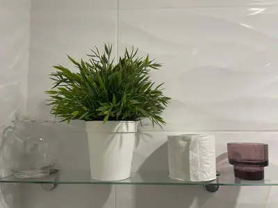Plano de Apartamento Tres Peces - Madrid Centro