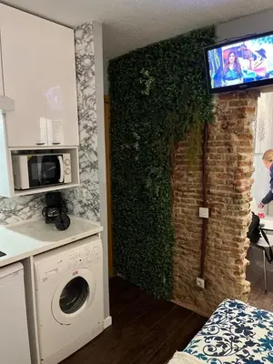 Una cocina o zona de cocina en Coqueto apartamento muy céntrico