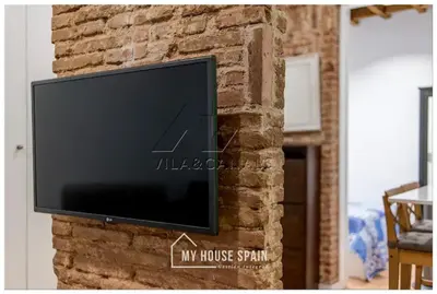 Una televisión o centro de entretenimiento en MyHouseSpain - Piso en la Latina