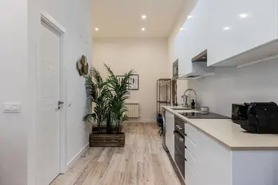 Una cocina o zona de cocina en Waou Ponzano & Chamberi II