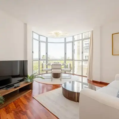 Luxury apartments in Barrio Palacio