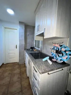 Una cocina o zona de cocina en Encantador Piso Zamora Temporal