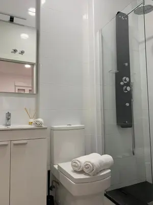 Un baño de Atocha Reina Sofia
